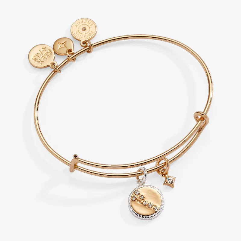 women's bracelets modern fashion -Taurus Zodiac Charm Bangle