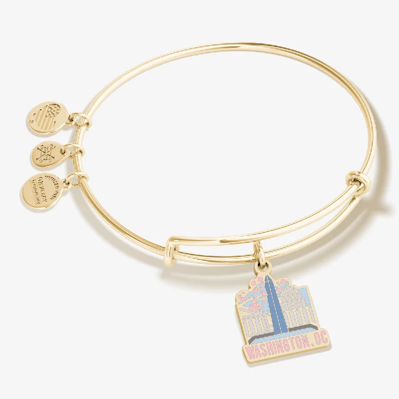 women's bracelets celestial theme -Washington D.C. Charm Bangle