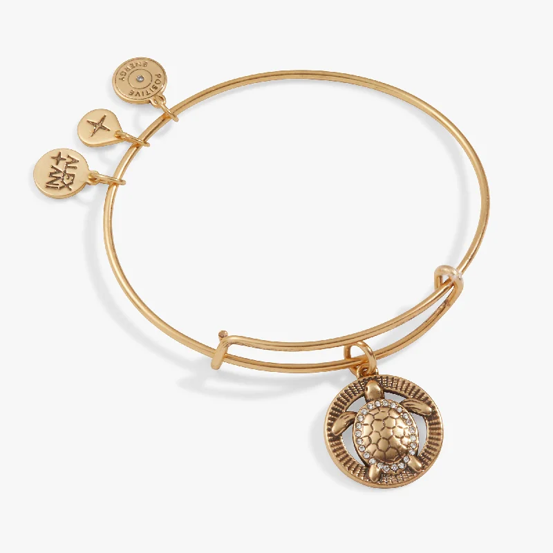 women's bracelets fine jewelry -Turtle Charm Bangle